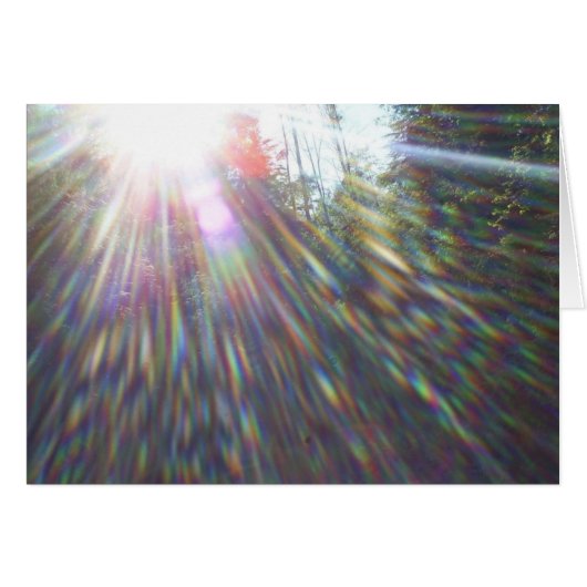 Regenbogen in Bäumen (Vorderseite (Horizontal))