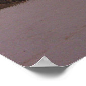 Regenbogen in Daytona Beach Print Poster (Ecke)