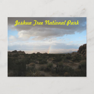 Regenbogen in Joshua Tree Postkarte