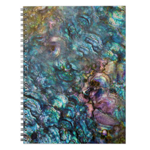 Regenbogen-Irideszente Abalone-Meeresmuschel Notizblock