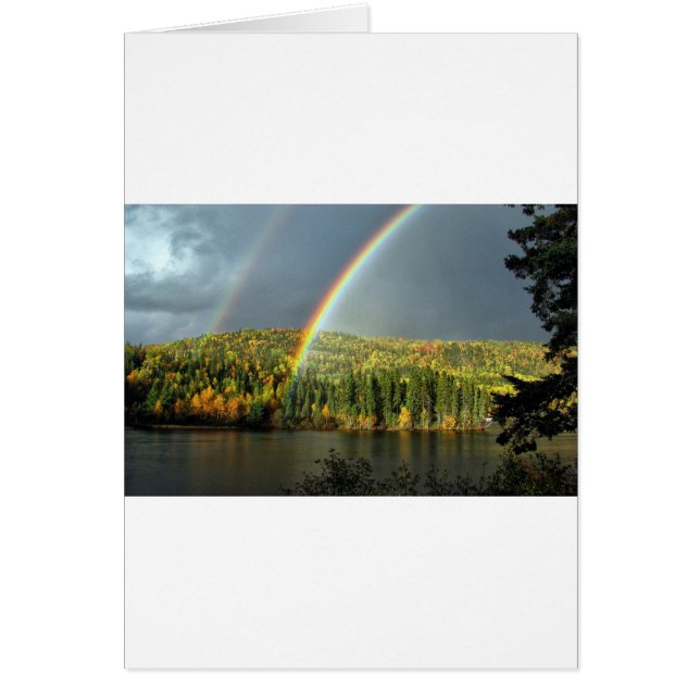 Regenbogen irrig Glück Natur Himmelswasser Bäume (Vorne)