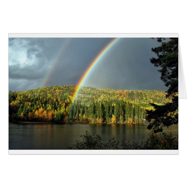 Regenbogen irrig Glück Natur Himmelswasser Bäume (Vorderseite (Horizontal))