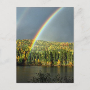 Regenbogen irrig Glück Natur Himmelswasser Bäume Postkarte