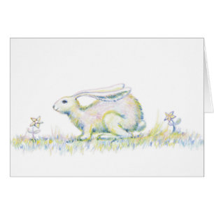 Regenbogen-Kaninchen