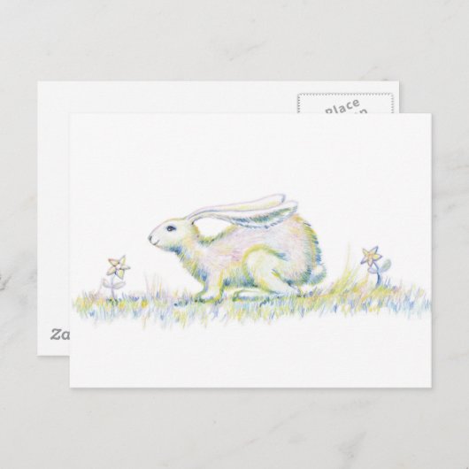 Regenbogen-Kaninchen Postkarte (Vorne/Hinten)