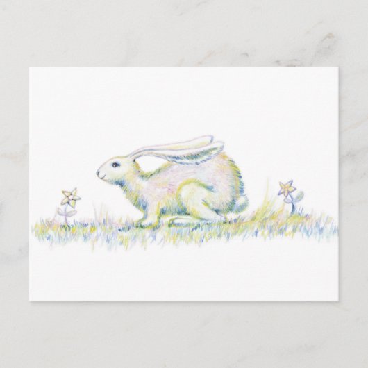 Regenbogen-Kaninchen Postkarte (Vorderseite)