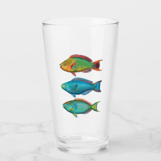 Regenbogen, Königin und Stoplight Parrotfischglas Glas
