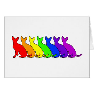 Regenbogen kornischer Rex
