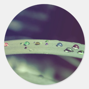 Regenbogen lässt Aufkleber fallen