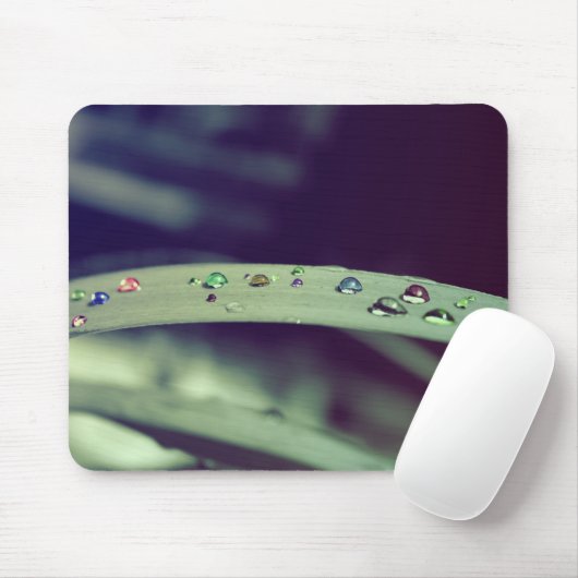 Regenbogen lässt Mousepad fallen (Mit Mouse)