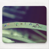 Regenbogen lässt Mousepad fallen (Vorne)