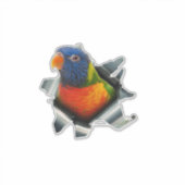 Regenbogen-Lorikeet-Aufkleber – Farbenfroher Papag Aufkleber (Vorderseite)