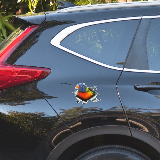 Regenbogen-Lorikeet-Aufkleber – Farbenfroher Papag Aufkleber (Auto Seite)