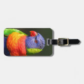 Regenbogen Lorikeet Gepäckanhänger (Vorderseite horizontal)