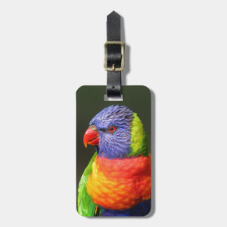 Regenbogen Lorikeet Gepäckanhänger