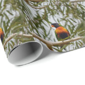 REGENBOGEN LORIKEET IM BAUM QUEENSLAND AUSTRALIEN GESCHENKPAPIER (Rolleneckpunkt)