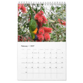 REGENBOGEN LORIKEET LÄNDLICHES QUEENSLAND KALENDER (Feb 2027)