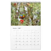 REGENBOGEN LORIKEET LÄNDLICHES QUEENSLAND KALENDER (Jan 2027)