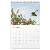 REGENBOGEN LORIKEET LÄNDLICHES QUEENSLAND KALENDER (Mär 2027)