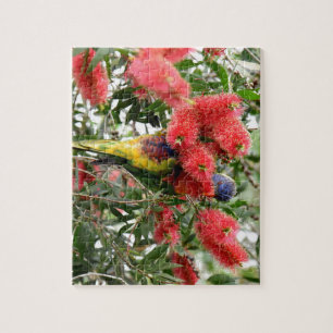 REGENBOGEN LORIKEET LÄNDLICHES QUEENSLAND PUZZLE