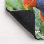 Regenbogen Lorikeet Mousepad (Ecke)