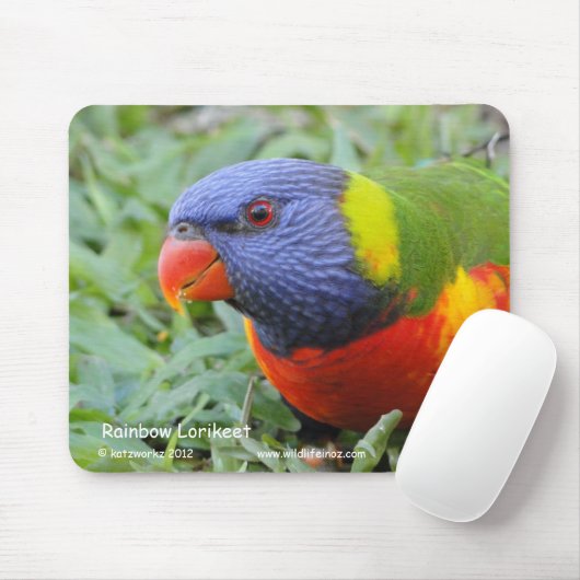 Regenbogen Lorikeet Mousepad (Mit Mouse)