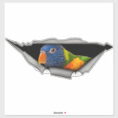 Regenbogen-Lorikeet-Papageien-Aufkleber – Farbiger Aufkleber (Blatt)