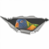 Regenbogen-Lorikeet-Papageien-Aufkleber – Farbiger Aufkleber (Vorderseite)