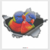 Regenbogen-Lorikeet-Papageien-Aufkleber – Lebendig Aufkleber (Blatt)