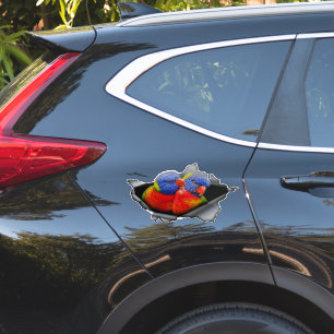 Regenbogen-Lorikeet-Papageien-Aufkleber – Lebendig Aufkleber