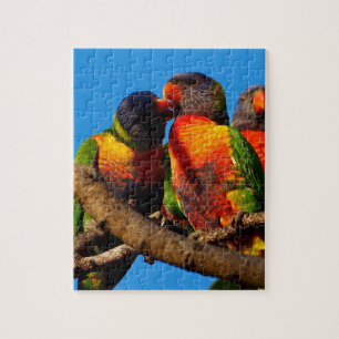 Regenbogen Lorikeet Puzzle