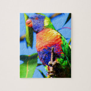 Regenbogen lorikeet puzzle