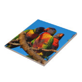 Regenbogen Lorikeet quadratische Fliese (Seite)