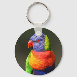 Regenbogen Lorikeet Schlüsselanhänger