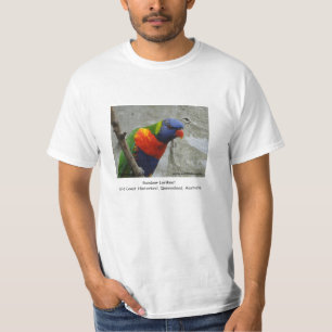 Regenbogen Lorikeet T-Shirt
