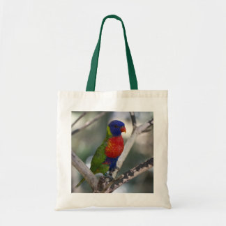 Regenbogen Lorikeet Tasche