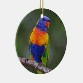 Regenbogen Lorikeet Trichoglossus Haematodus Keramikornament (Rechts)