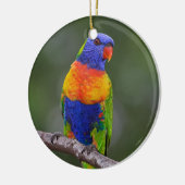 Regenbogen Lorikeet Trichoglossus Haematodus Keramikornament (Links)