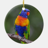 Regenbogen Lorikeet Trichoglossus Haematodus Keramikornament (Hinten)