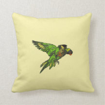 Regenbogen Lorikeet (Trichoglossus haematodus)