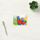 Regenbogen lorikeets post-it klebezettel (Büro)