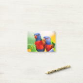 Regenbogen lorikeets post-it klebezettel (Auf Schreibtisch)