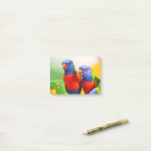 Regenbogen lorikeets post-it klebezettel (Auf Schreibtisch)