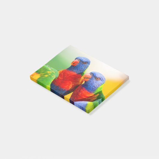 Regenbogen lorikeets post-it klebezettel (angewinkelt)