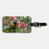 REGENBOGEN LORIKETT IM BAUM QUEENSLAND AUSTRALIEN GEPÄCKANHÄNGER (Vorderseite horizontal)