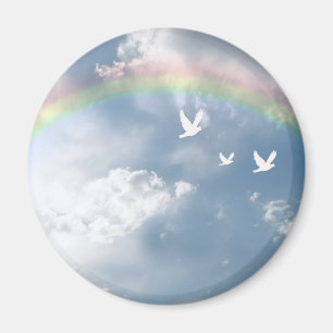 Regenbogen-Magnet Magnet