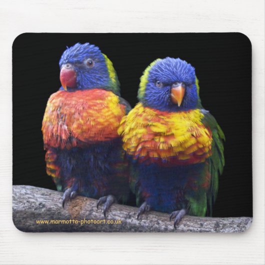 Regenbogen-Mauspad Mousepad (Vorne)