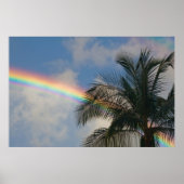 Regenbogen mit Palmenbaum Poster (Vorne)