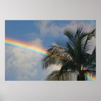 Regenbogen mit Palmenbaum Poster
