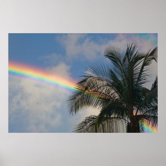 Regenbogen mit Palmenbaum Poster (Vorne)